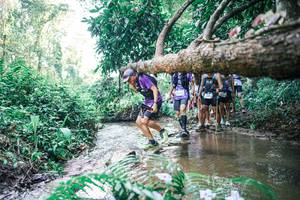 BIB: 
                            <button type="button" onclick="openModal(25466927)" class="btn btn-primary btn-sm float-right btn-popup" data-toggle="modal" data-target=".modal-high-quality">
                        <i class="fas fa-shopping-cart"></i> Add to Cart
                    </button>
                                            <button type="button" onclick="isThisMe(25466927, true)" class="btn btn-success btn-sm float-right btn-popup btn-isme hidden" data-toggle="tooltip" data-placement="bottom" title="นี่คือรูปของคุณใช่ไหม คลิกที่นี่เพื่อเอาเข้าอัลบั้ม">
                        <i class="fas fa-plus"></i> Add to album
                    </button>
                    <button type="button" onclick="isThisMe(25466927, false)" class="btn btn-warning btn-sm float-right btn-popup btn-isnotme hidden">
                        <i class="fas fa-ban"></i> Remove from album
                    </button>